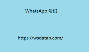 WhatsApp 号码