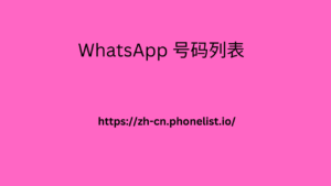 WhatsApp 号码列表